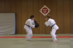 20080724 Guertelpruefung Erwachsene