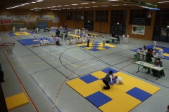 DSCF2212