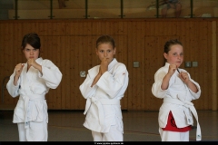 20120727 Guertelpruefung Kinder