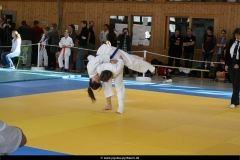 NBEMPyrbaum2013_55