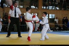NBEMPyrbaum2013_59