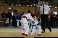 NBEMPyrbaum2013_60