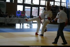 NBEMPyrbaum2013_63