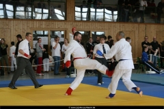 NBEMPyrbaum2013_65
