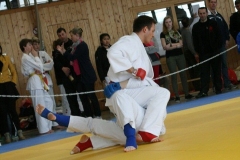 NBEMPyrbaum2013_67