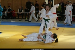 NBEMPyrbaum2013_7