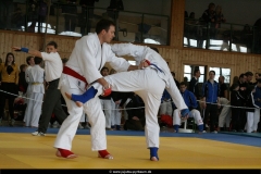 NBEMPyrbaum2013_70