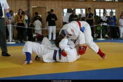 NBEMPyrbaum2013_71