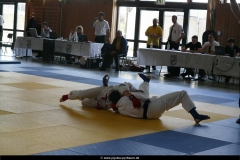 NBEMPyrbaum2013_74