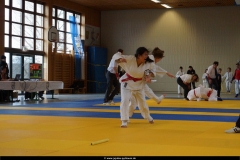 NBEM-Pyrbaum_16022014_19