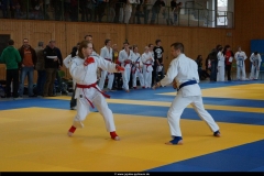 NBEM-Pyrbaum_16022014_23