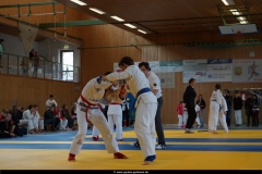 NBEM-Pyrbaum_16022014_42