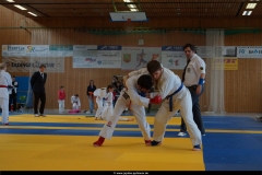 NBEM-Pyrbaum_16022014_43