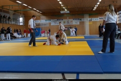 NBEM-Pyrbaum_16022014_5