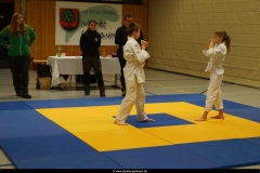 20151127 Guertelpruefung Kinder