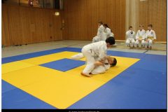 IMG_9264