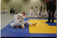 IMG_0186