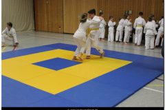 IMG_0201