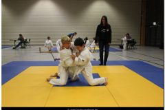 IMG_0221