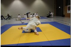 IMG_0222