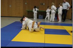 IMG_0296
