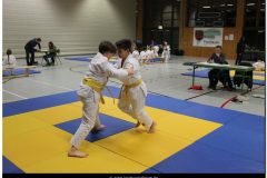 IMG_0310