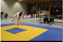 IMG_0318