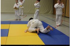 IMG_0390