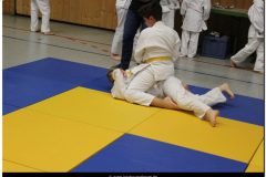 IMG_0406