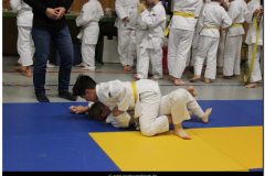 IMG_0410
