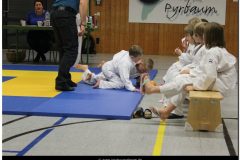 IMG_0447