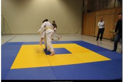 IMG_0518