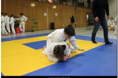 IMG_0530