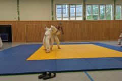 20240424_GUERTELPRUEFUNG_ERWACHSENE